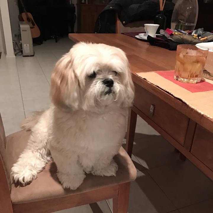 19c8ee8e cc58 487b b5d8 16b9f2ea86c7