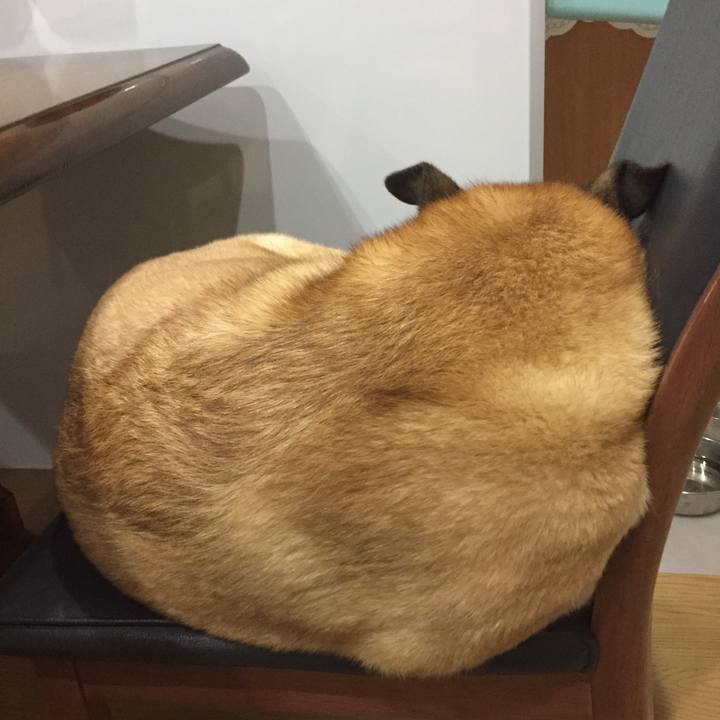 19c9d4b0 d838 4589 8756 97e090ecfb3f