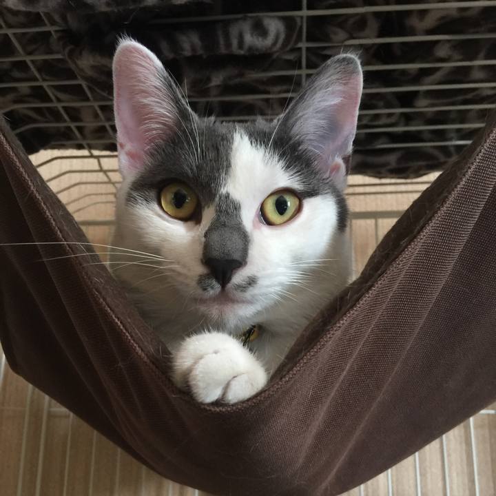 19c9e346 9649 4837 bf14 19b3a5323745