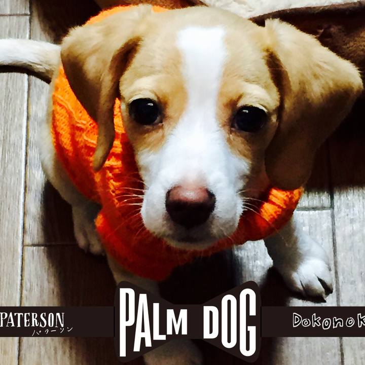 19ca95c9 667a 41f5 af8e 87ac09082a7f