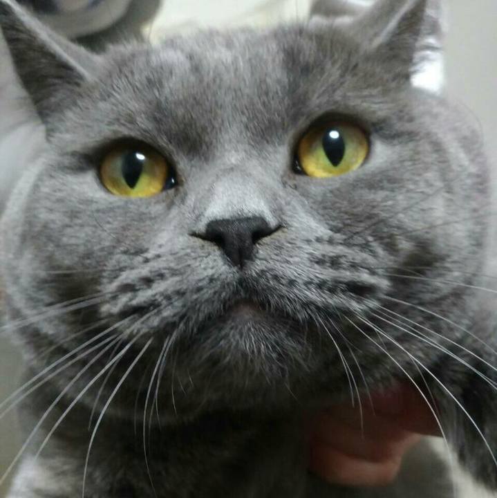 19cad876 dfb2 4856 9730 a40b25697f8c