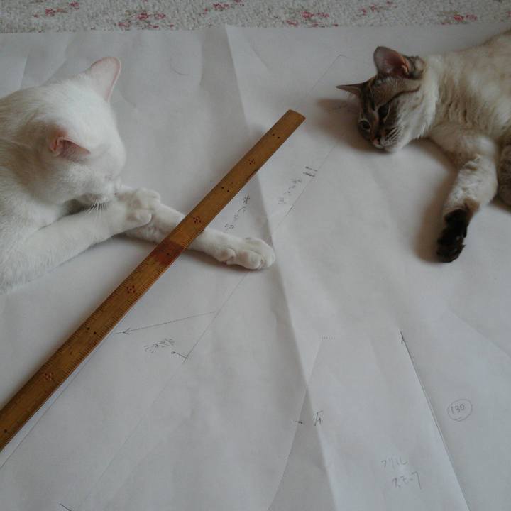 19cafe11 65b5 4ff9 b3f1 0d9ac62c5227