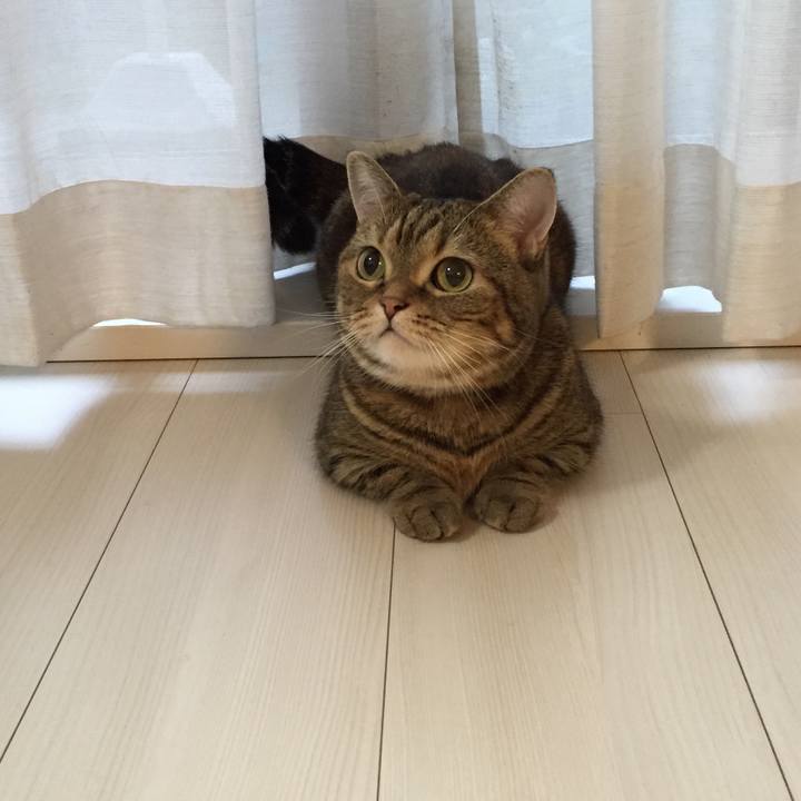 19cb00a0 40a1 4915 918b 2ce490ab39c2