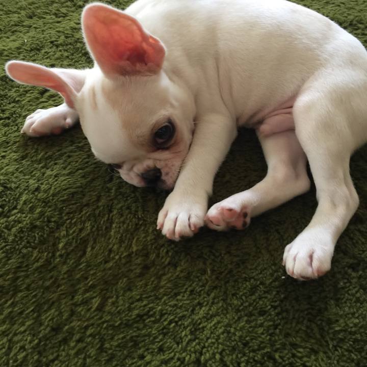 19cb7d65 5c3f 4752 9b36 6ce5386e07fe