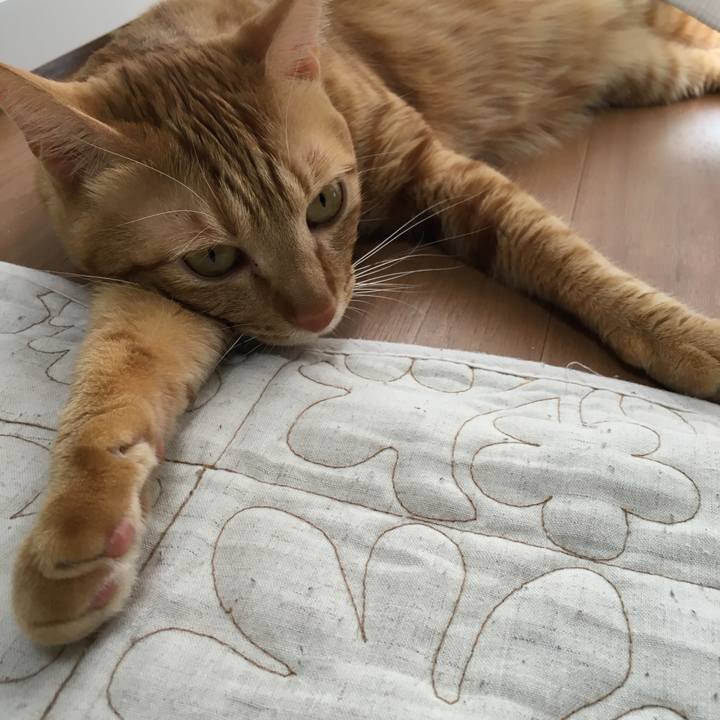 19cb8425 197b 448b add1 9de3a3777967