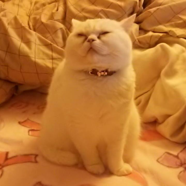 19cbb6ab fcf0 4152 b434 5e9477171803