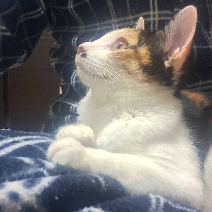 19cbfb8b 0d87 4527 a431 e023c8743a9d