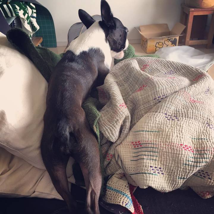 19cc103e 55c1 4470 9c90 641358ac6142