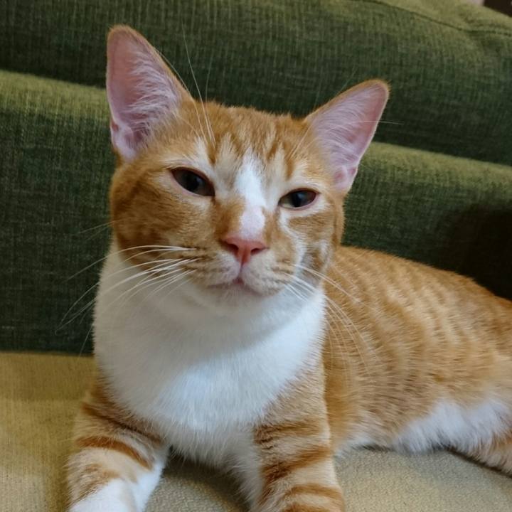 19cc1bc6 431e 4363 ae0b db84b165bfea