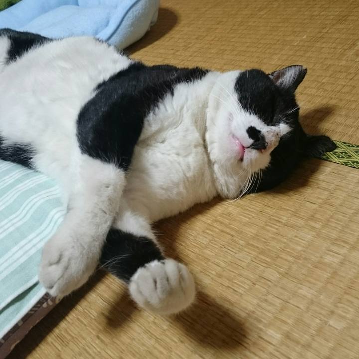 19ccd1cd 97a0 4413 9854 c95dfb219a46