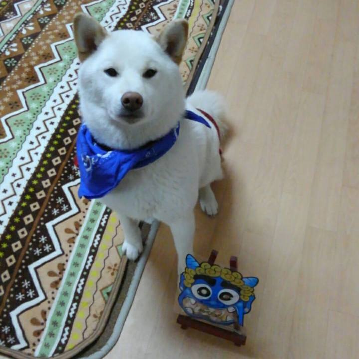 19cd266a ccfc 4f5d bc7d dca917008ca3