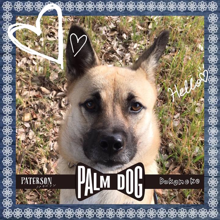 19cd895b 8fa1 4f71 87a3 88a7e1424a7f