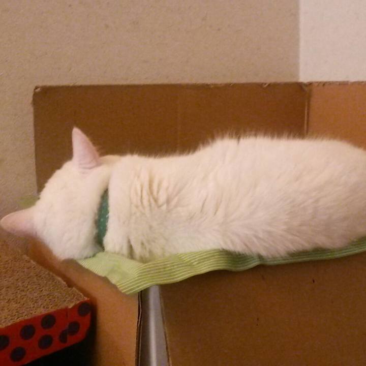 19ce3b3e f3f9 43e7 8edd 3c2f1eaa5b9b