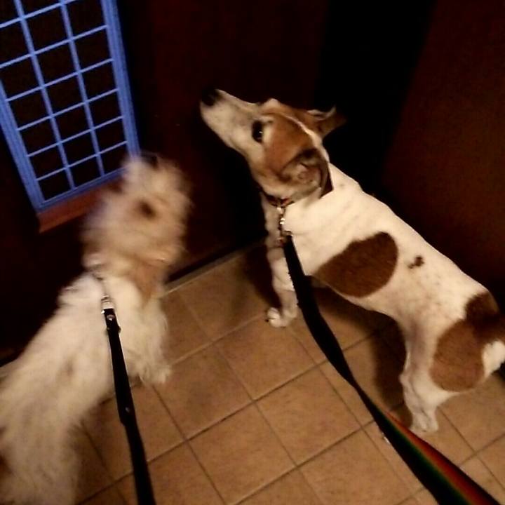 19ce73d7 6489 4c04 8a15 40a0521d3771