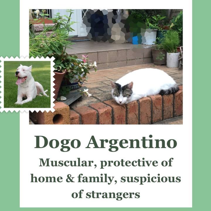 19cf7eff f436 429c 8f16 8c27af5a6d83