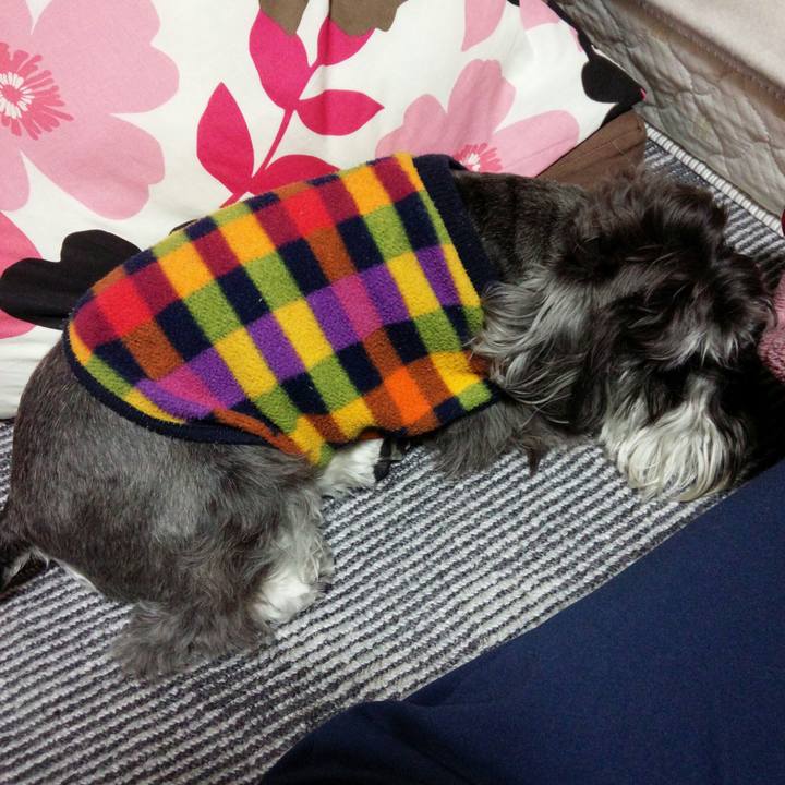 19cf9159 5c90 4799 b2bb 3ee75c479479