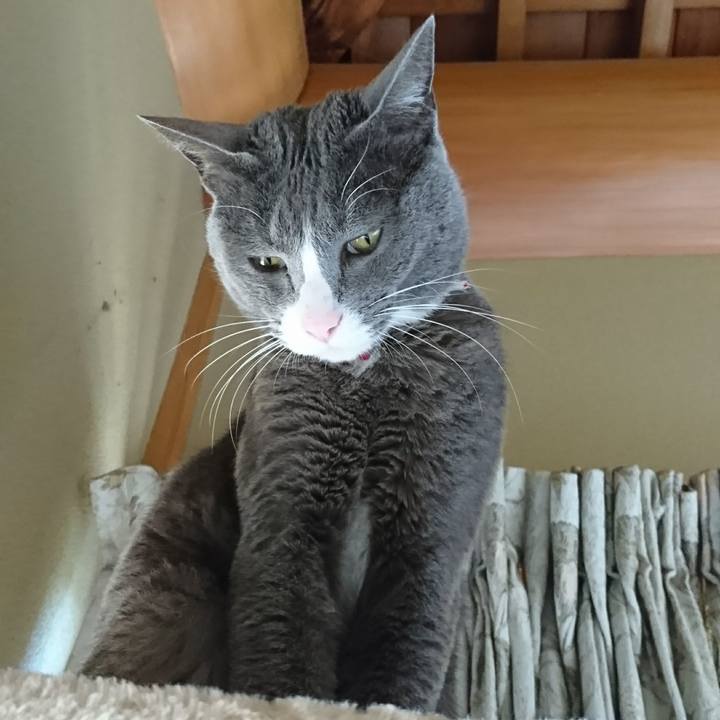 19d04f5d b038 4574 9296 b2026207d68d