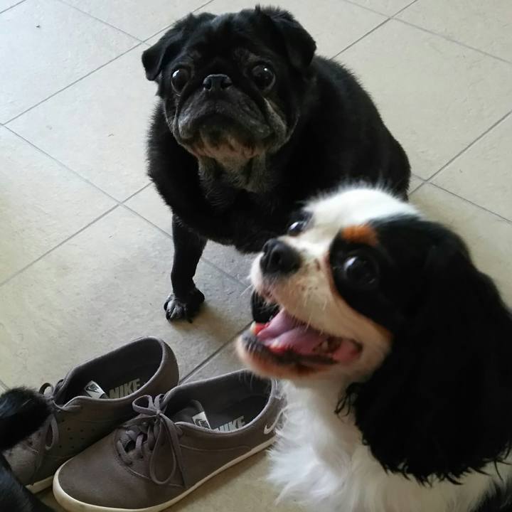 19d22a9e f991 4dd4 913c ee9e94064a79