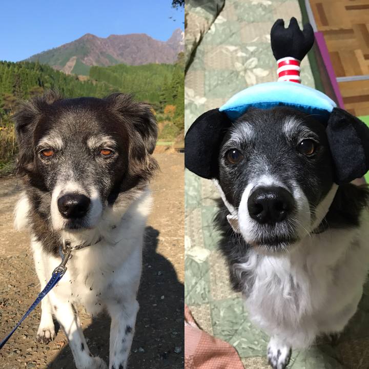 19d26e6a 6ad0 4e3d 8c88 02174eeb6363