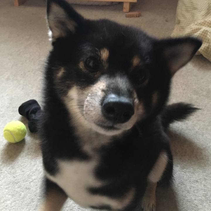 19d286f3 053e 4f24 9c19 c5dd8f36576c