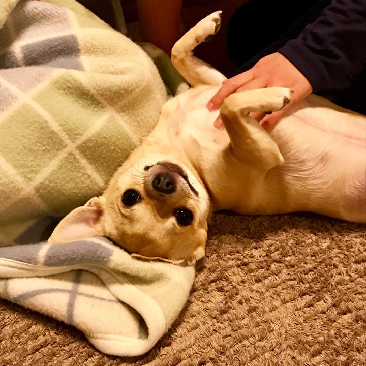 19d2a959 bdb6 4d66 9988 4952c6bc2487