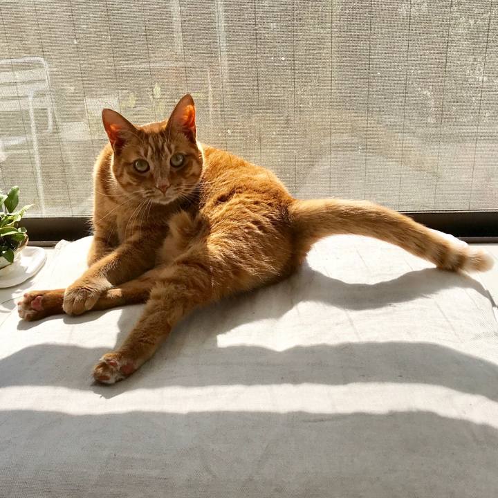 19d312a5 3dd4 413a a16a 5d29ff0b2518