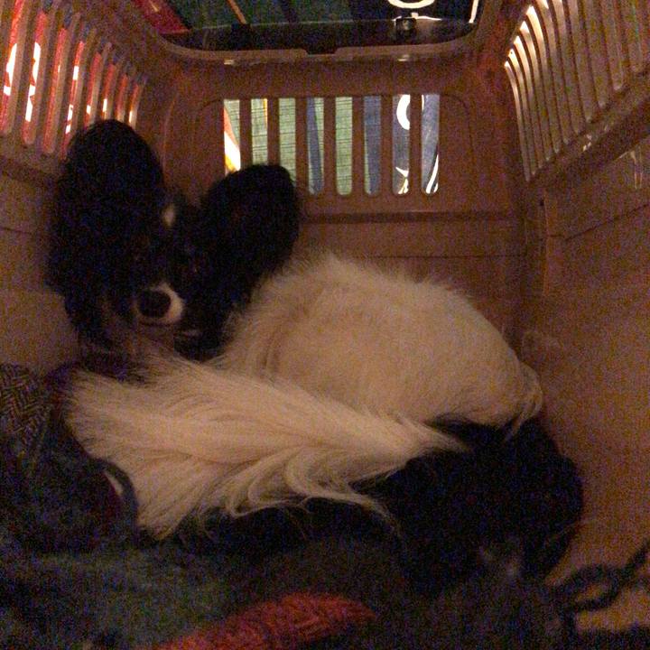 19d3512e e49d 4dd4 9137 f776c5a76116