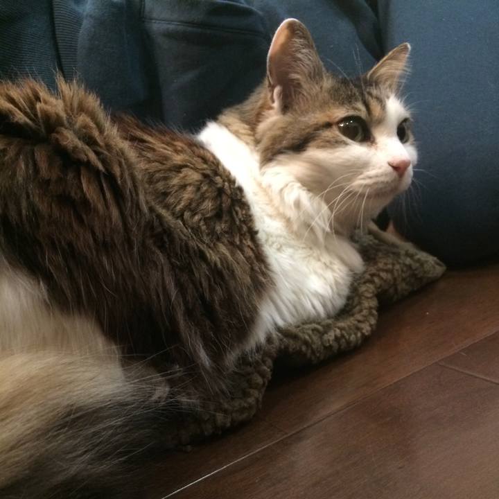 19d41080 3b65 4a99 8025 16d5abf71e3e