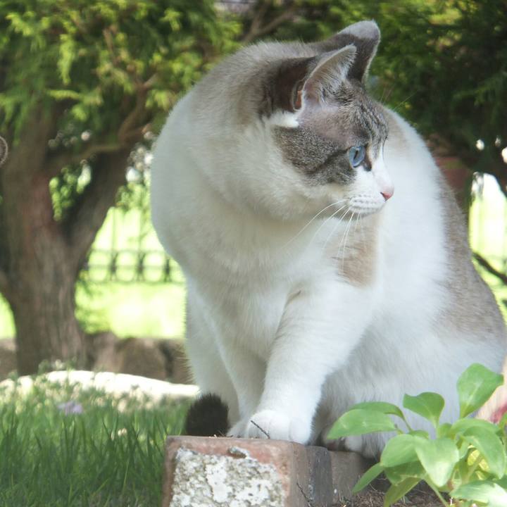 19d439f5 64c0 4a43 a0d3 328abb62b31f