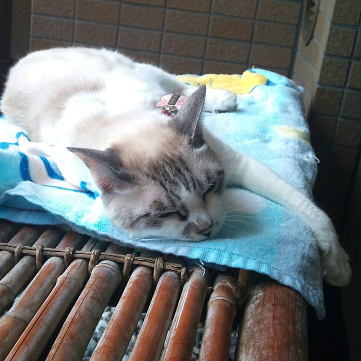 19d47bda 865a 4d75 a9b5 7df1f7dd3461