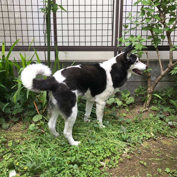 19d4de31 4f37 45e3 bd6a e04531f1f389