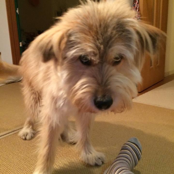 19d4ff05 a439 4c3c b0ba 58f23cc97449