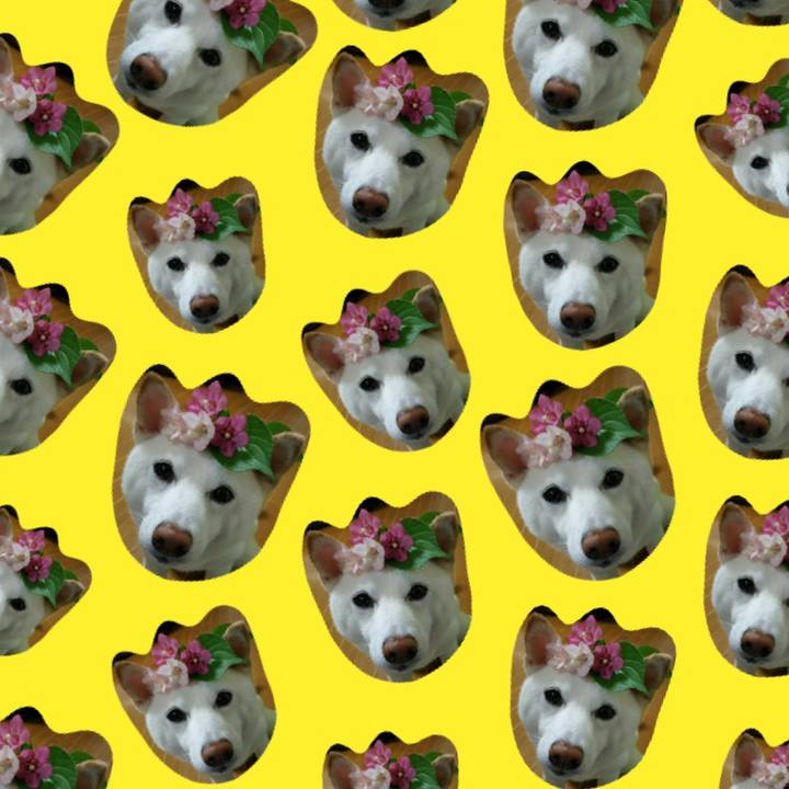 19d50c3b cb01 4129 a564 461c4a9011dd