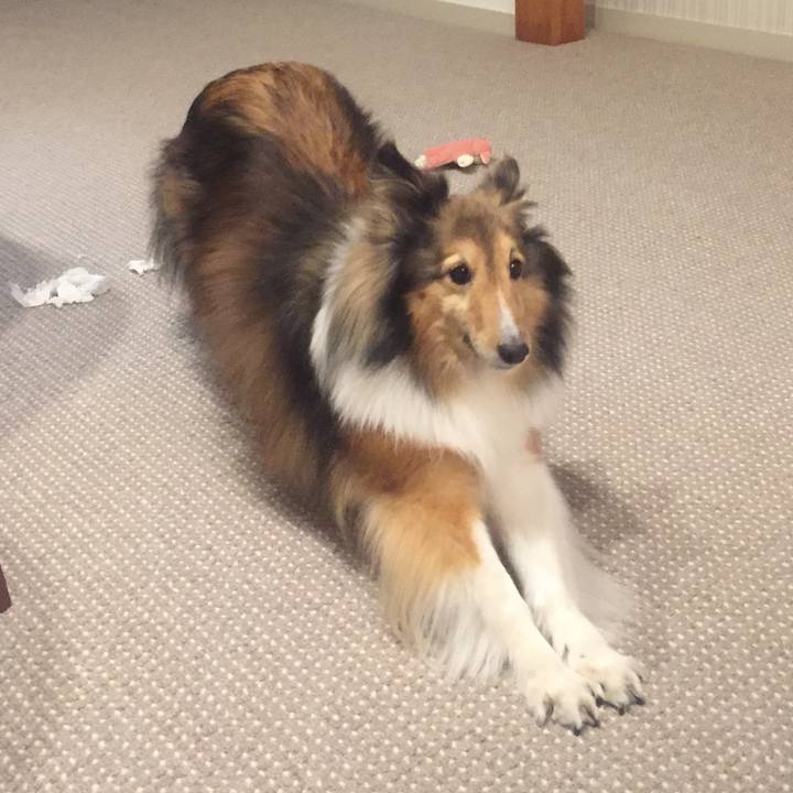 19d50ee1 08c9 4c78 b081 d51f1f5160d1