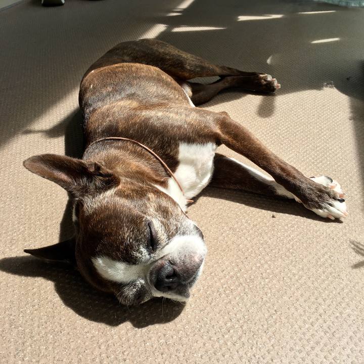 19d5121b 31a9 4a86 b943 af99f28b5cc6