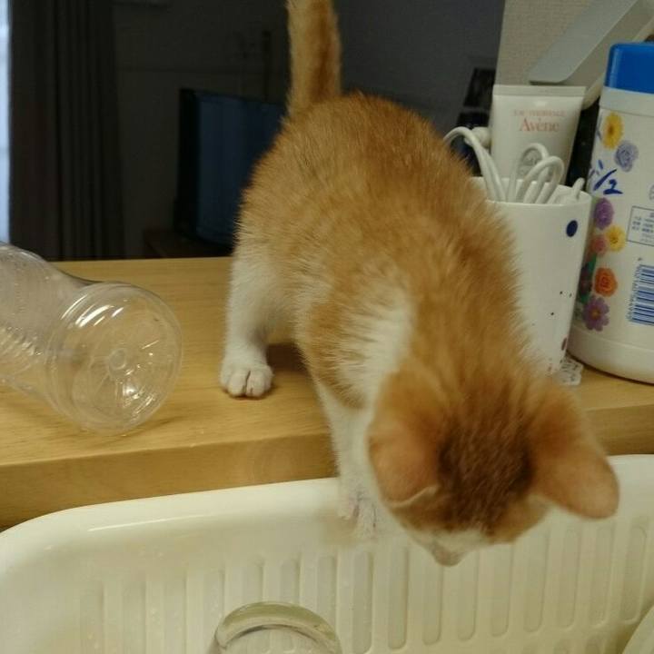 19d5a77c 4eb6 4146 9dd6 4d9df6c86bdd