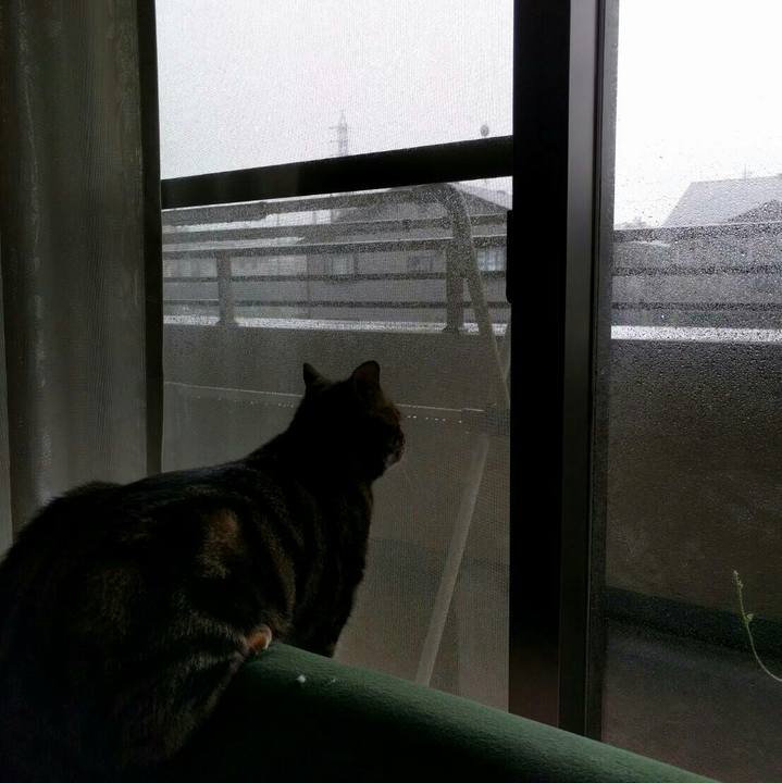 19d5b361 cd68 48fd 9168 df5d5f110ca3