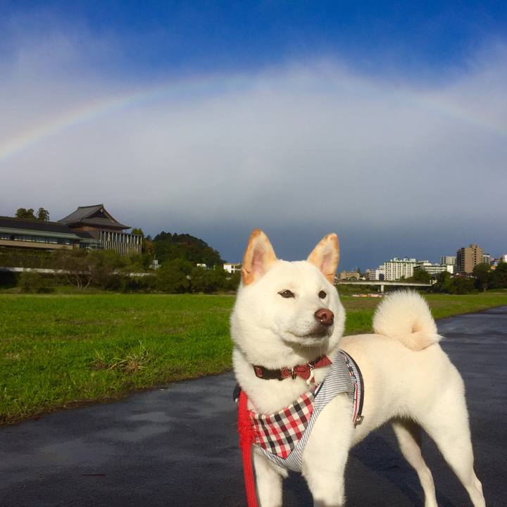 19d5dcf3 5e07 4d42 badb dec51c27f0d1