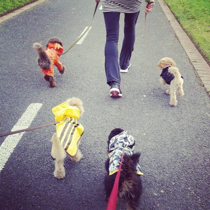 19d5f304 fa83 492d 8002 28a749698278