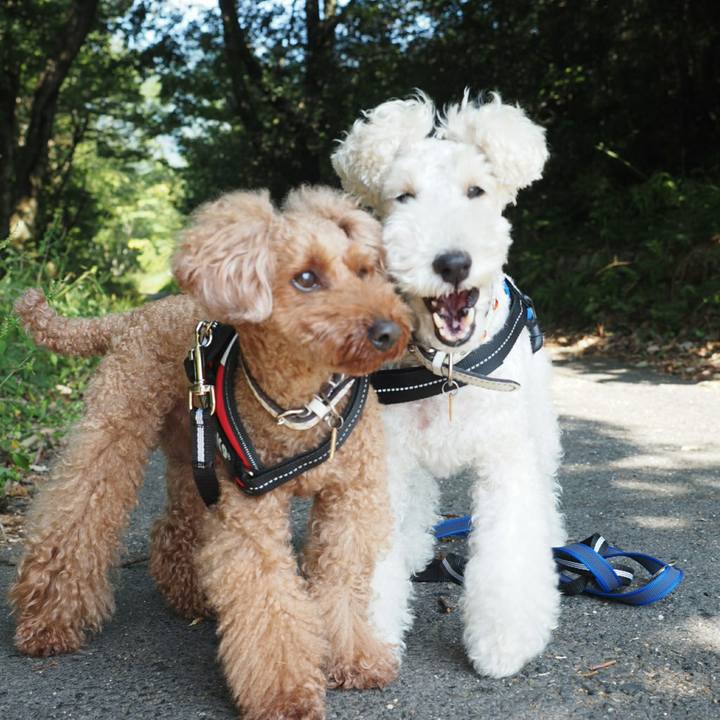 19d67b1c 6db1 4d99 a117 5cf275c4fe10