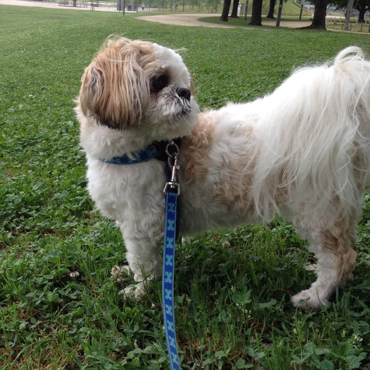 19d7fe64 7360 4d62 9c7d 38b9057e552f