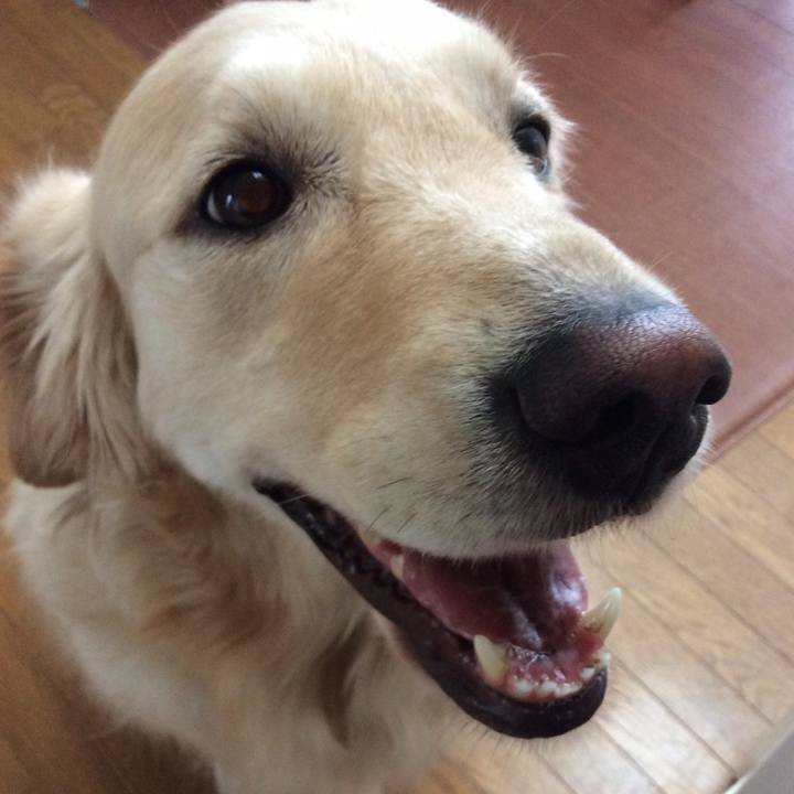 19d81627 46cb 4ec5 93a8 fddcf052a2aa