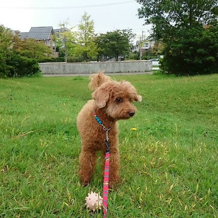 19d84ec2 8c1d 4214 a4ad b7404b9588b6