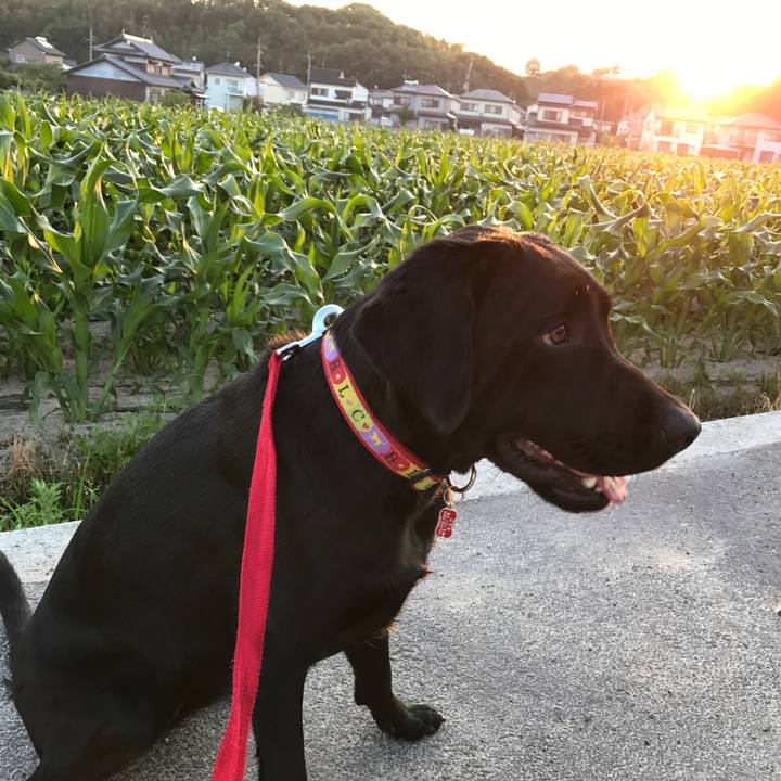 19d8740e ed7b 4f41 82dd 01769fdf3b00