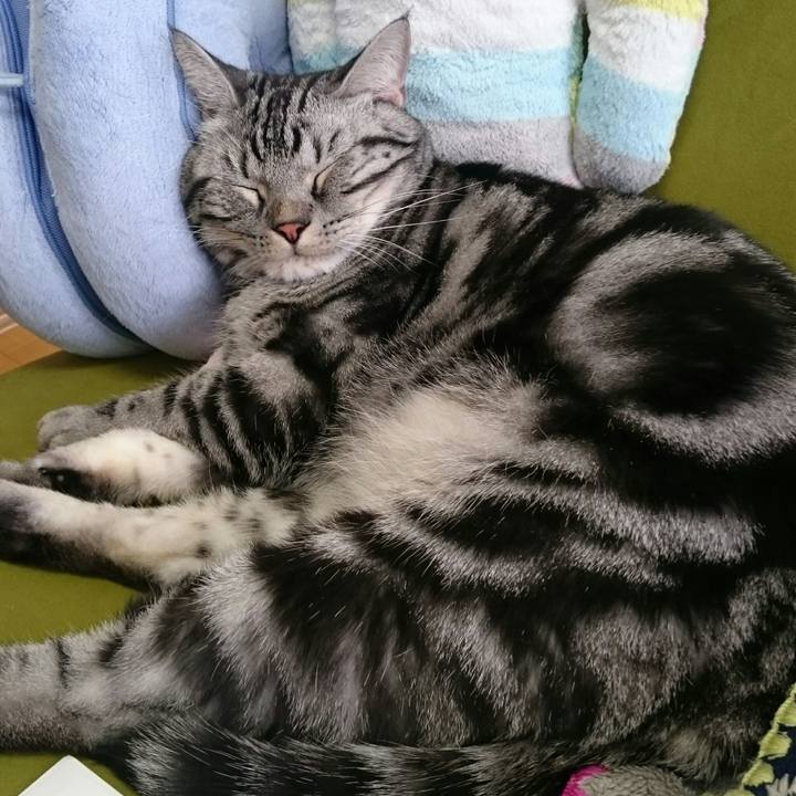 19d874d1 321b 4066 9835 f254cbad6dd7