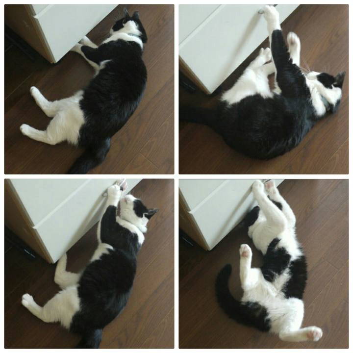 19d8dc3d 8a55 4c50 b4b1 34f4c21e16e1