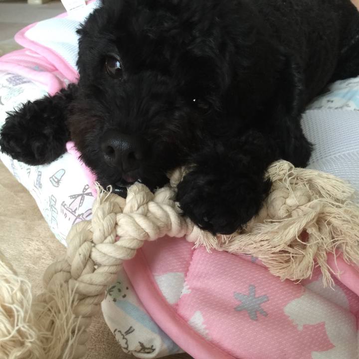 19d90d29 d9f6 4619 b50c 1769a8dd2133