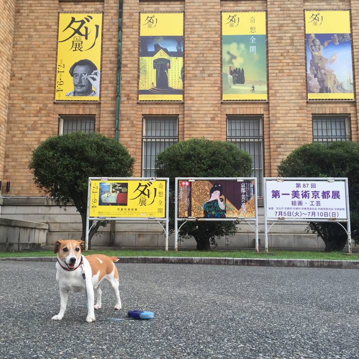 19db51da 3b0b 4f3a a373 7bc7fa8333a5