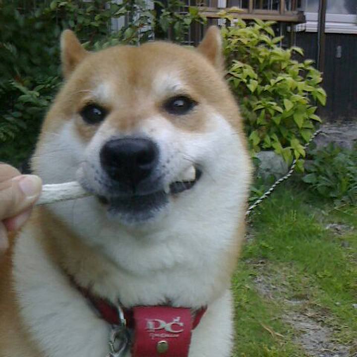 19db718b 8c1a 49fe a75c 34b523d0a5a1