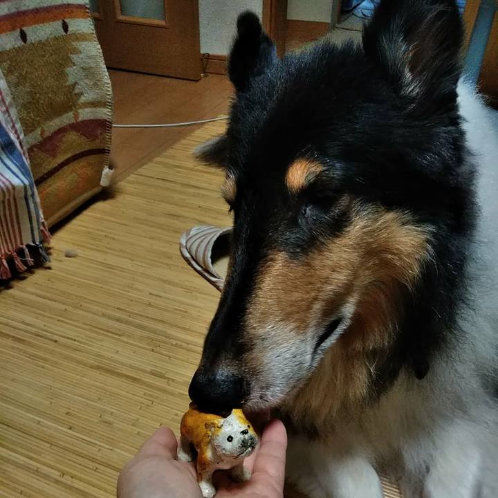 19dbd059 8020 4dbe 8f15 ecefd22f2699